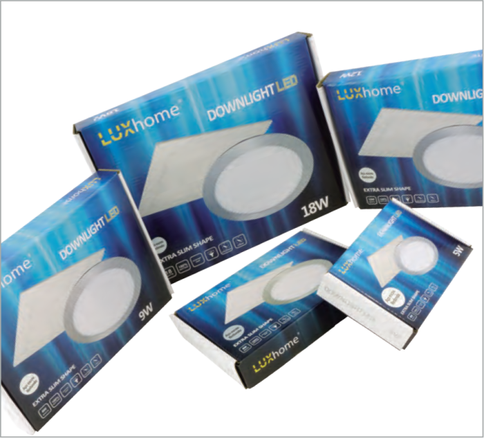 Downlight Led